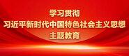 插鸡鸡视频软件学习贯彻习近平新时代中国特色社会主义思想主题教育_fororder_ad-371X160(2)